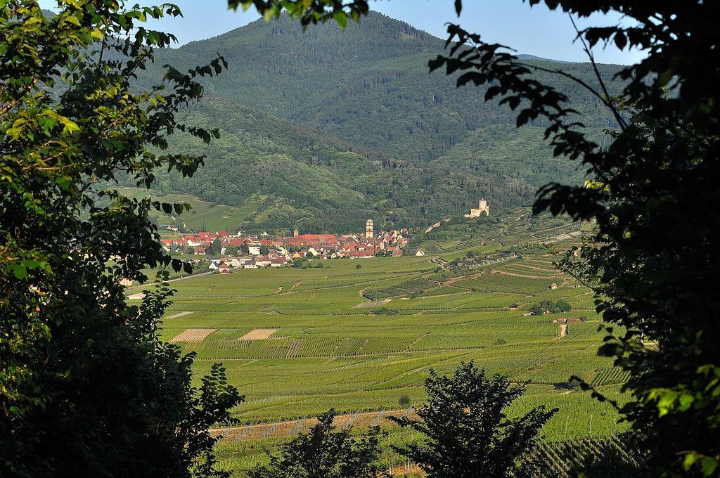 Gite Du Vignoble Ammerschwihr Εξωτερικό φωτογραφία